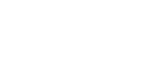 Evasiju Holding